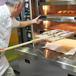 Case Study Example (Gallery 2)